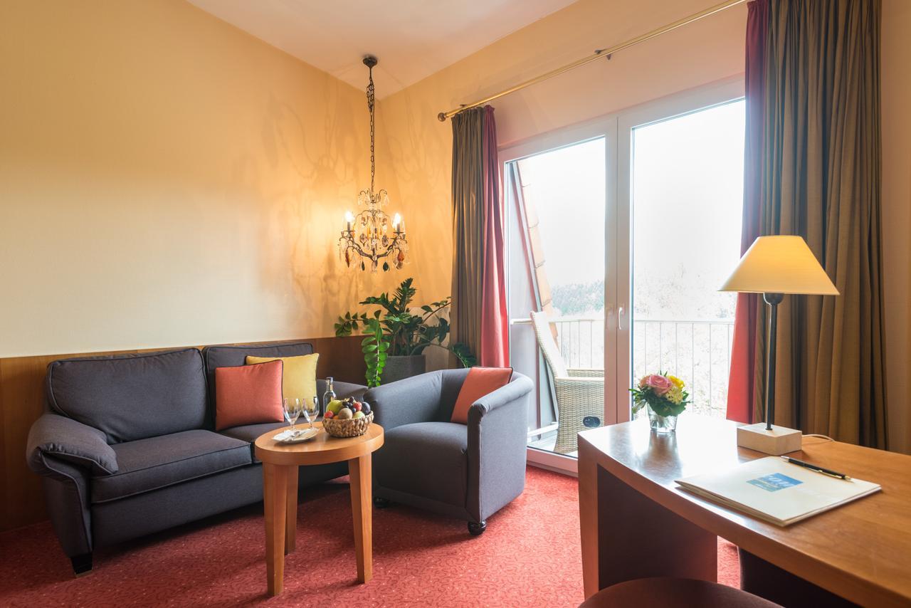Hotel Heinz Höhr-Grenzhausen Стая снимка